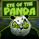 Eye of the Panda